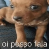 Alguns memes aleatórios 2025 16