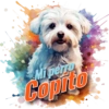 Mi perro Copito
