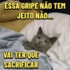 Eu com Gripe / Gripado 🤧 18