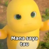 Mana saya tau