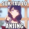 SOK TAU LO ANJING