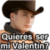 @paraguayita_01 Quieres ser mi Valentín?