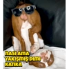 NASI AMA YAKIŞMIŞ DIMI KANKA
