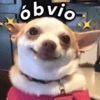 óbvio