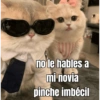 no le hables a mi novia pinche imbécil