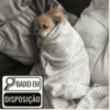 BAIXO EM BAI DISPOSIÇÃO