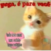Gatinhos reativos 🐾 8