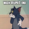 WAH RUMIT INI