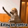Estoy en contra