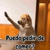 Puedo pedir de comer?