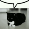 Shitpost Tranqui  19