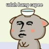 udah bang capee