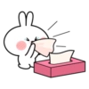 Conejitos Cartoon 🐰 12