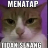 MENATAP TIDAK SENANG