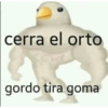 cerra el orto gordo tira goma