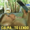 CALMA...TÔ LENDO