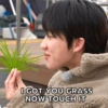 I GOT YOU GRASS NOW TOUCH IT