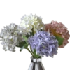 Flores - Flowers 💐  13