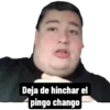 Deja de hinchar el pingo chango