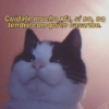 Cuidate mucho xfa, si no, no tendré con quién casarme. CHUSA