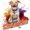Mi perro Samantha