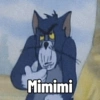 Tom 13