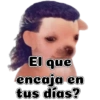 El que encaja en tus días?