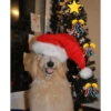 🎁 Mood Navidad 2.1🎁 6