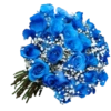 Flores - Flowers 💐  8