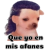 Que yo en mis afanes