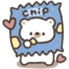 Chip