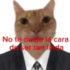 No te duele la cara de ser tan linda