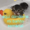 aquí dándome mi bañito semanal