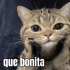 que bonita