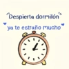 Despierta dormilón ya te estraño mucho