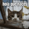 hola que haces