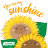 You are my Sunshine ZAGRO
