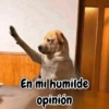 En mi humilde opinión