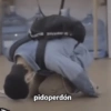 PREME SUP pidoperdón