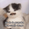 jijo de la guayaba que sueño tengo