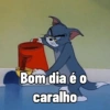 Tom 28