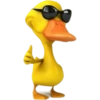 🦆 Patitos pa'todo 🕶🦆 20 👍