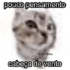 pouco pensamento @fotosfofinhas cabeça de vento