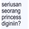 seriusan seorang princess diginiin?