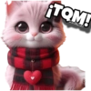 ¡TOM! carolszaro