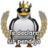 DO Te declaro sir pendejo