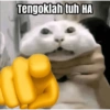 Tengoklah tuh HA