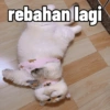 rebahan lagi