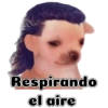 Respirando el aire