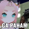 GA PAHAM